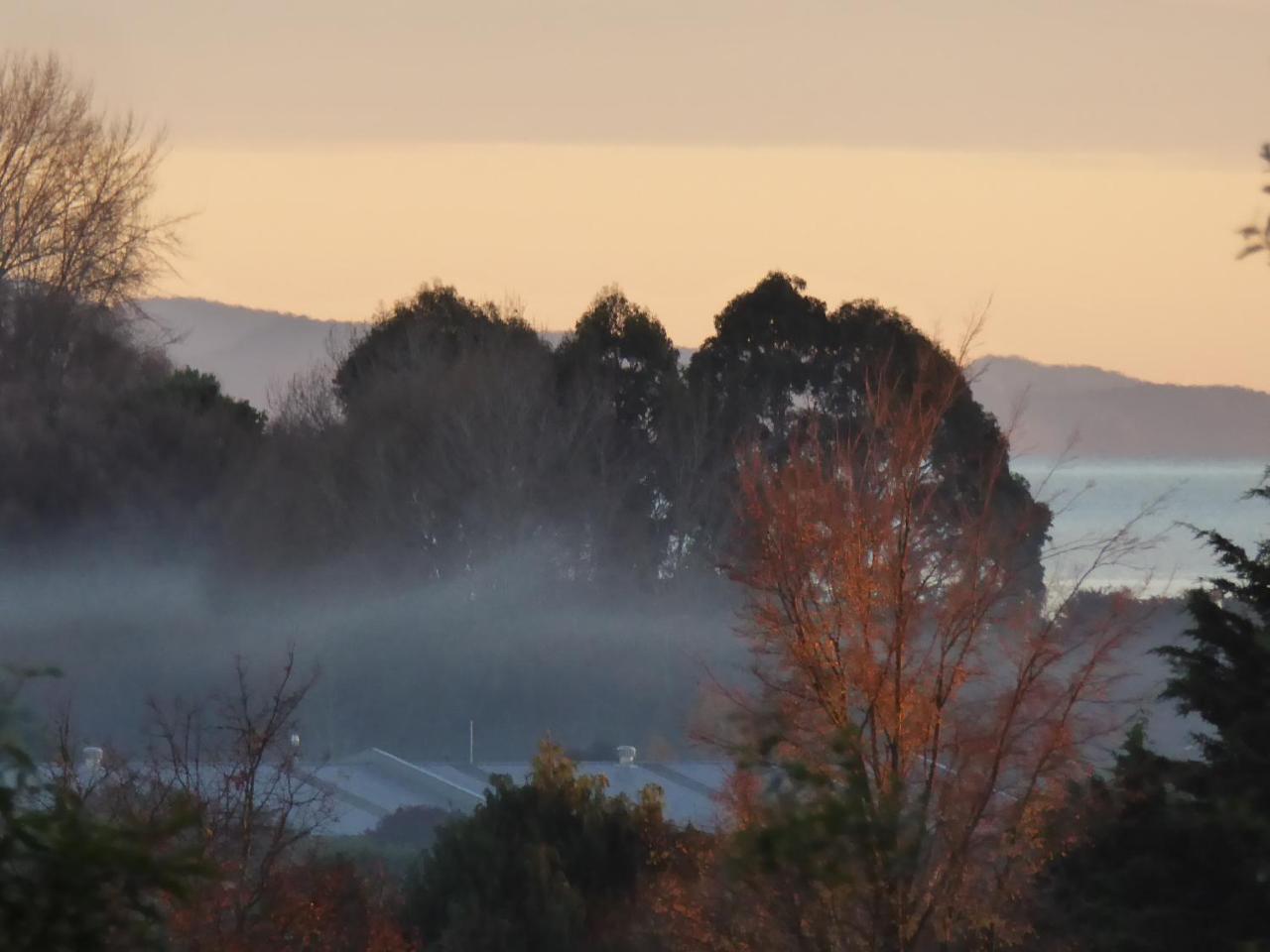 Hazelwood Mapua Bed & Breakfast エクステリア 写真