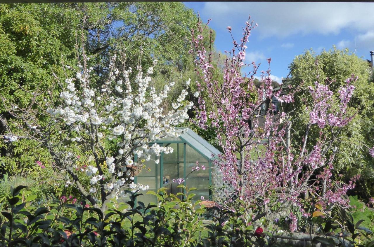 Hazelwood Mapua Bed & Breakfast エクステリア 写真